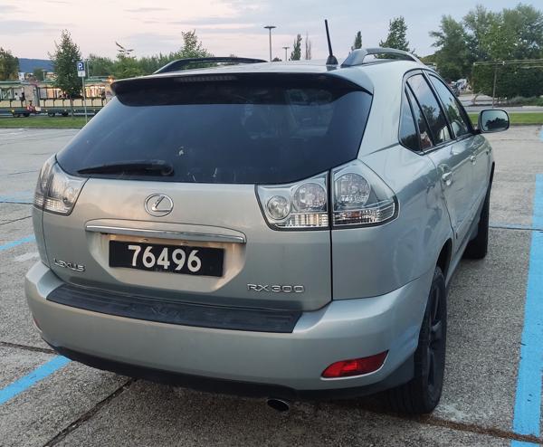 Guernsey spotted in Štúrovo, Slovakia. Photo taken on 27.08.2025.